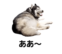 794785106