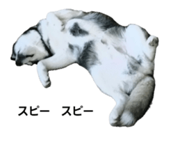 794785117