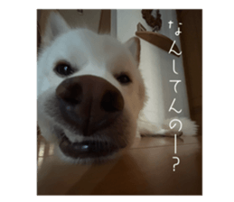 794785263
