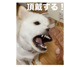 794785267