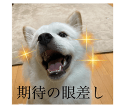 794785272