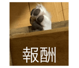 794785277
