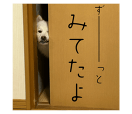 794785279