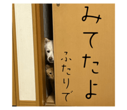 794785280