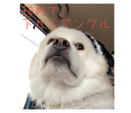 794785282