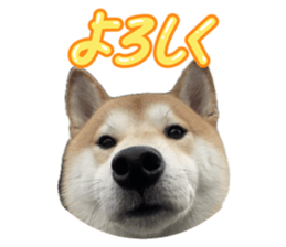 794787097