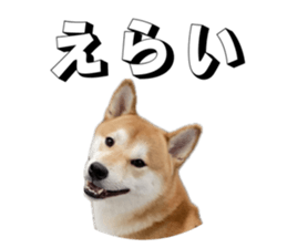 794787107