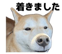 794787111
