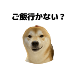 794787114