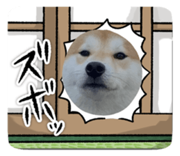 794787116