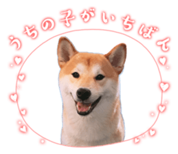 794787118