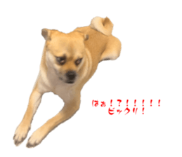 794788241