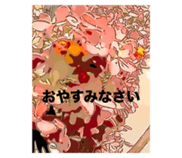 794802663