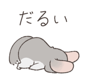 794809546