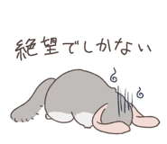 794809551
