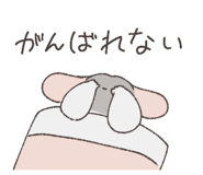 794809557