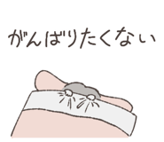 794809558
