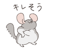 794809575