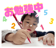 794813376
