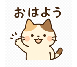 794813461