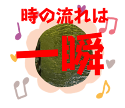 794825294