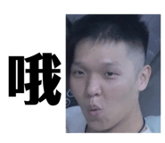 794841481