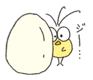 794844538