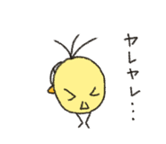 794844560