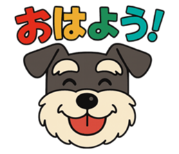 794847919