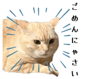 794868756