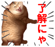 794868758