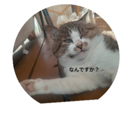 794869394