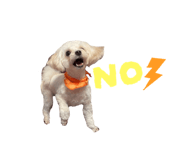 794872047