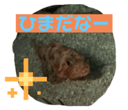 794872742