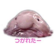 794872744