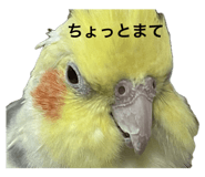 794878755