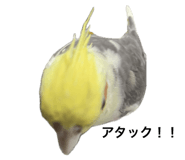 794878759