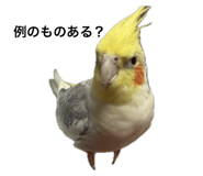 794878760