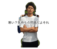 794880641