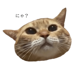 794883350