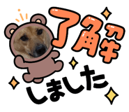 794888267