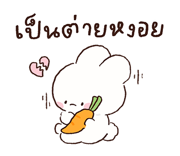 ลายที่ 13