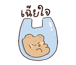 ลายที่ 29