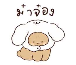 ลายที่ 13