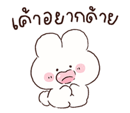 ลายที่ 31