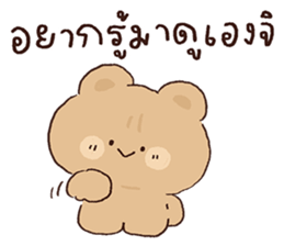 ลายที่ 41