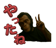 794905914