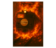 794908287