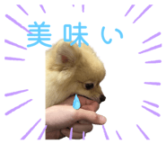 794908993