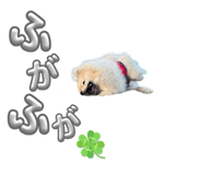 794908996